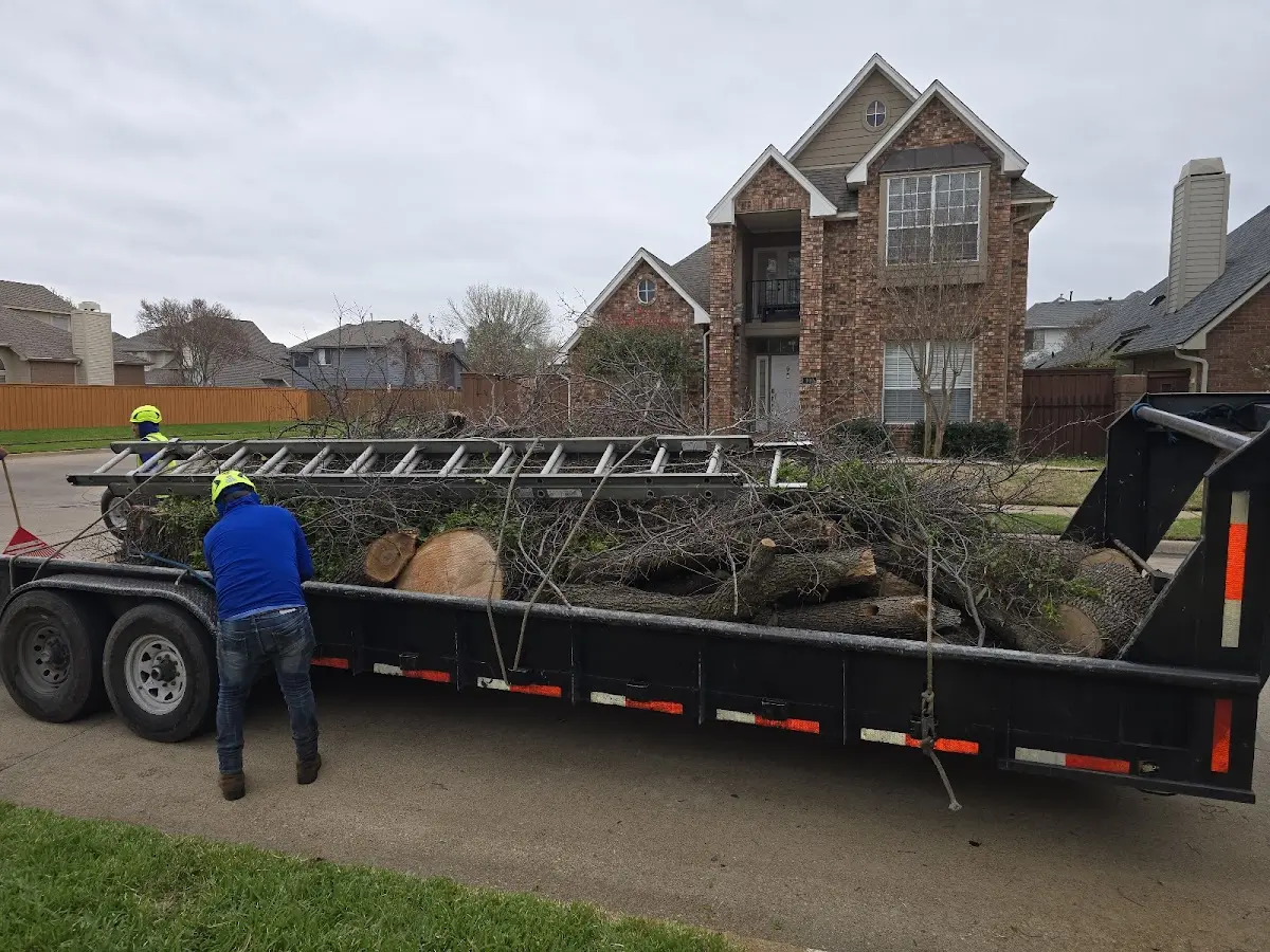 Expert Tree Removal with proper safety equipment in Plover